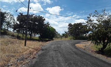 TERRENO / SAN CARLOS / PLAYA CORONA / 1112M / CALLE ASFALTADA