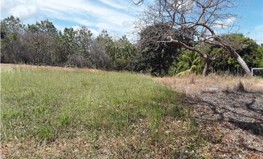 TERRENO / SAN CARLOS / PLAYA CORONA / 1112M / CALLE ASFALTADA
