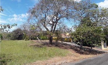 TERRENO / SAN CARLOS / PLAYA CORONA / 1112M / CALLE ASFALTADA