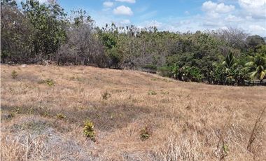 TERRENO / SAN CARLOS / PLAYA CORONA / 1112M / CALLE ASFALTADA