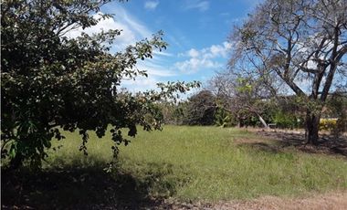 TERRENO / SAN CARLOS / PLAYA CORONA / 1112M / CALLE ASFALTADA