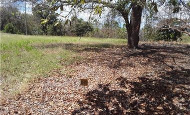 TERRENO / SAN CARLOS / PLAYA CORONA / 1112M / CALLE ASFALTADA