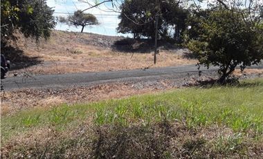 TERRENO / SAN CARLOS / PLAYA CORONA / 1112M / CALLE ASFALTADA