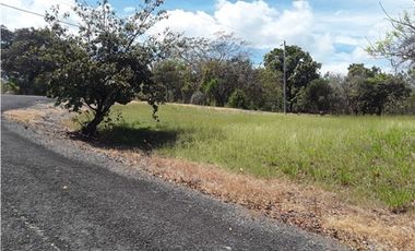 TERRENO / SAN CARLOS / PLAYA CORONA / 1112M / CALLE ASFALTADA