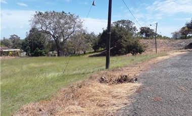 TERRENO / SAN CARLOS / PLAYA CORONA / 1112M / CALLE ASFALTADA