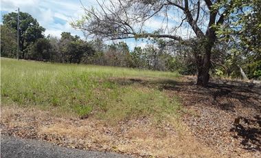 TERRENO / SAN CARLOS / PLAYA CORONA / 1112M / CALLE ASFALTADA