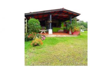 SE VENDE FINCA DE 10 HECTARIAS CON CABAÑA EN CHIRIQUI, VOLCAN BARU