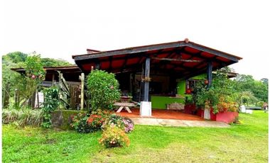 SE VENDE FINCA DE 10 HECTARIAS CON CABAÑA EN CHIRIQUI, VOLCAN BARU