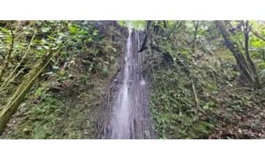 SE VENDE FINCA DE 10 HECTARIAS CON CABAÑA EN CHIRIQUI, VOLCAN BARU
