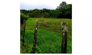 SE VENDE FINCA DE 10 HECTARIAS CON CABAÑA EN CHIRIQUI, VOLCAN BARU