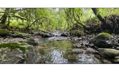 SE VENDE FINCA DE 10 HECTARIAS CON CABAÑA EN CHIRIQUI, VOLCAN BARU
