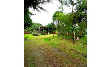 SE VENDE FINCA DE 10 HECTARIAS CON CABAÑA EN CHIRIQUI, VOLCAN BARU