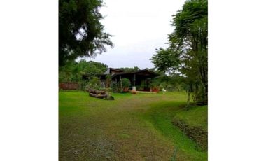 SE VENDE FINCA DE 10 HECTARIAS CON CABAÑA EN CHIRIQUI, VOLCAN BARU
