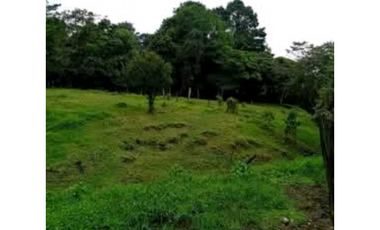 SE VENDE FINCA DE 10 HECTARIAS CON CABAÑA EN CHIRIQUI, VOLCAN BARU