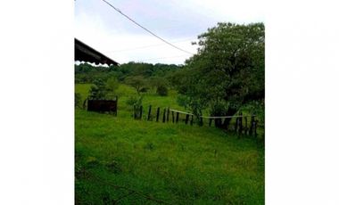SE VENDE FINCA DE 10 HECTARIAS CON CABAÑA EN CHIRIQUI, VOLCAN BARU