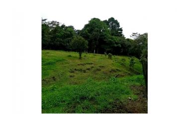 SE VENDE FINCA DE 10 HECTARIAS CON CABAÑA EN CHIRIQUI, VOLCAN BARU
