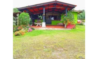 SE VENDE FINCA DE 10 HECTARIAS CON CABAÑA EN CHIRIQUI, VOLCAN BARU