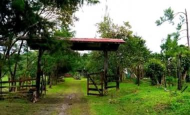 SE VENDE FINCA DE 10 HECTARIAS CON CABAÑA EN CHIRIQUI, VOLCAN BARU