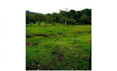 SE VENDE FINCA DE 10 HECTARIAS CON CABAÑA EN CHIRIQUI, VOLCAN BARU