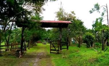 SE VENDE FINCA DE 10 HECTARIAS CON CABAÑA EN CHIRIQUI, VOLCAN BARU