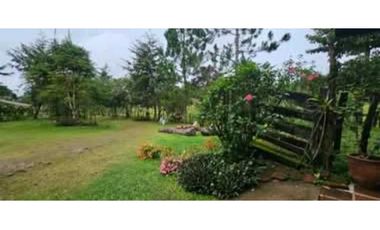 SE VENDE FINCA DE 10 HECTARIAS CON CABAÑA EN CHIRIQUI, VOLCAN BARU