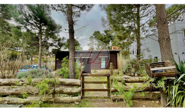 (VENDIDO) PEDRO DE MENDOZA  AL 1500