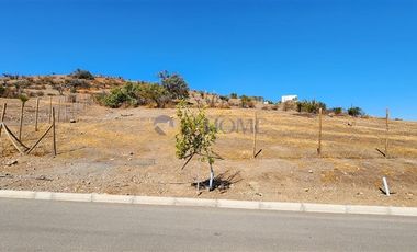 Parcela en Venta en Hacienda Chacabuco J47