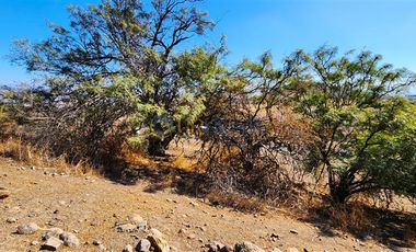 Parcela en Venta en Hacienda Chacabuco J47