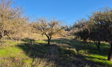 CASABLANCA / PARCELA TERRA CASABLANCA / 9.861 M2 / LO OVALLE