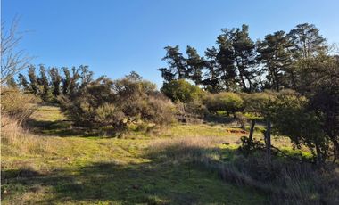 CASABLANCA / PARCELA TERRA CASABLANCA / 9.861 M2 / LO OVALLE