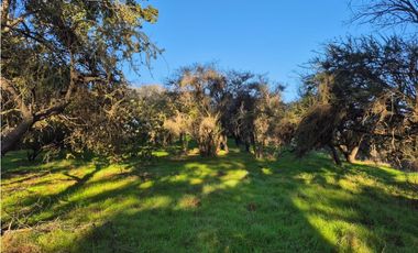 CASABLANCA / PARCELA TERRA CASABLANCA / 9.861 M2 / LO OVALLE
