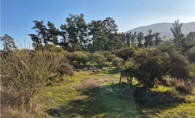 CASABLANCA / PARCELA TERRA CASABLANCA / 9.861 M2 / LO OVALLE