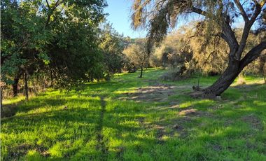 CASABLANCA / PARCELA TERRA CASABLANCA / 9.861 M2 / LO OVALLE