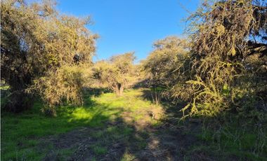 CASABLANCA / PARCELA TERRA CASABLANCA / 9.861 M2 / LO OVALLE