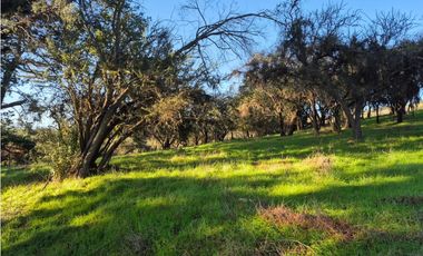 CASABLANCA / PARCELA TERRA CASABLANCA / 9.861 M2 / LO OVALLE