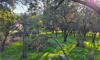 CASABLANCA / PARCELA TERRA CASABLANCA / 9.861 M2 / LO OVALLE