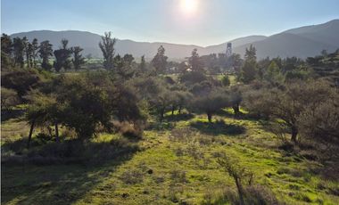 CASABLANCA / PARCELA TERRA CASABLANCA / 9.861 M2 / LO OVALLE