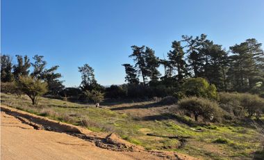 CASABLANCA / PARCELA TERRA CASABLANCA / 9.861 M2 / LO OVALLE