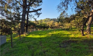 CASABLANCA / PARCELA TERRA CASABLANCA / 9.861 M2 / LO OVALLE