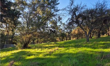 CASABLANCA / PARCELA TERRA CASABLANCA / 9.861 M2 / LO OVALLE