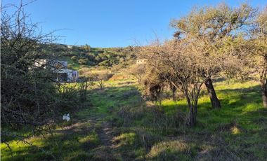 CASABLANCA / PARCELA TERRA CASABLANCA / 9.861 M2 / LO OVALLE