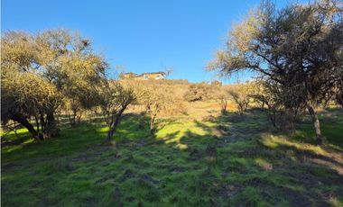 CASABLANCA / PARCELA TERRA CASABLANCA / 9.861 M2 / LO OVALLE