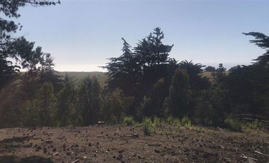 Casa en Arriendo en Condominio CampoMar 1