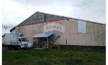 Bodegas Errazuriz/Montt, Osorno