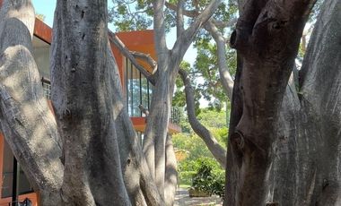 VIVA EL LUJO  A LA ORILLA DEL LAGO DE CHAPALA DE CHAPALA DEPARTAMENTO  EN VENTA