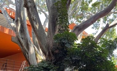 VIVA EL LUJO  A LA ORILLA DEL LAGO DE CHAPALA DE CHAPALA DEPARTAMENTO  EN VENTA