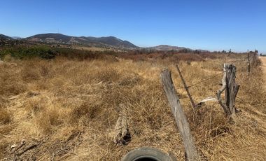 2 HECTAREAS EN VENTA TECATE COL. NUEVA HINDU