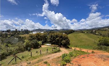 Vendo hermoso lote en el Carmen de Viboral