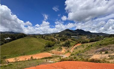 Vendo hermoso lote en el Carmen de Viboral