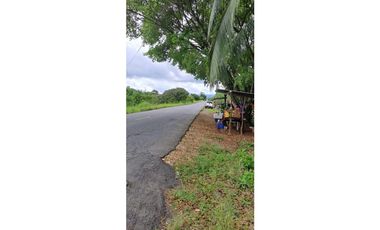 VENDO.LOTE.COMERCIAL.DE.5500MTS DOLEGA-POTRERILLOS-BQT.